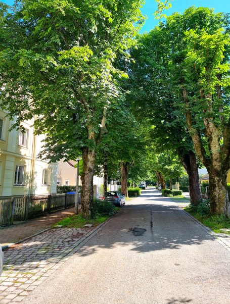 Ruhige Wohnlage in Kastanienallee